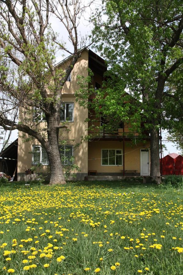 Hotel Дом Жени И Люды à Zhabagly Extérieur photo